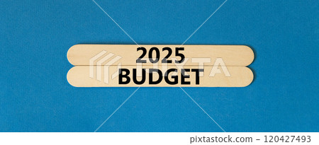 Planning 2025 budget new year symbol. Concept words 2025 Budget on beautiful wooden sticks. Beautiful blue background. Business 2025 budget new year concept. Copy space. 120427493
