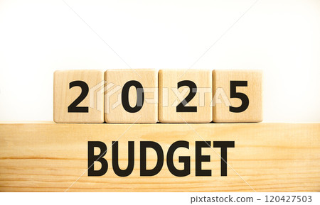 Planning 2025 budget new year symbol. Concept words 2025 Budget on beautiful wooden blocks. Beautiful white background. Business 2025 budget new year concept. Copy space. 120427503