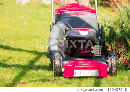 Gardening. Mowing green lawn with red lawnmower 120427648
