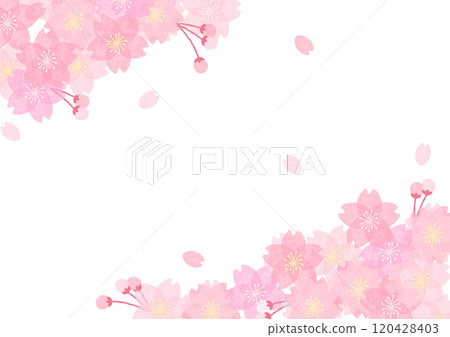 櫻桃背景 櫻桃背景 120428403