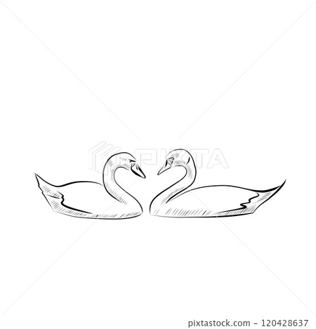 Line art. Pair of swans in line art style. Vector Line art. Pair of swans in line art style. Vector 120428637