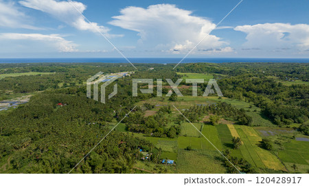 Agricultural land and rice fields in the countryside. Negros, Philippines 120428917