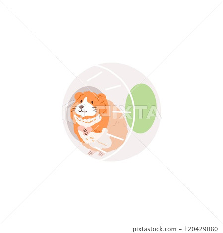 Cute ginger hamster with white belly in ball wheel, fluffy pet having fun with toy, vector cartoon small domestic animal 120429080