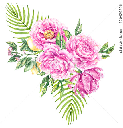 Floral collection hand drawn watercolor illustrations 120429206
