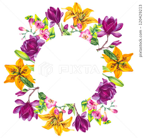 Floral illustration with freesia magnolia and lily 120429213