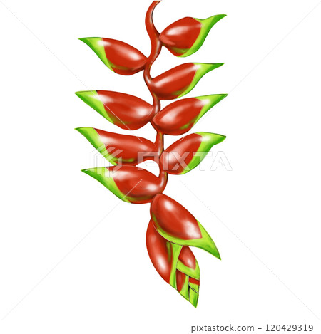 Colorful flowers of Unazuki Heliconia Colorful flowers of Unazuki Heliconia 120429319