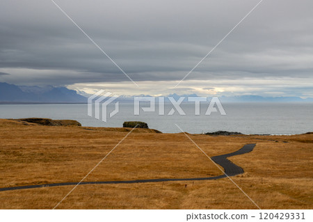 Meadow at the coast,  west Iceland 120429331