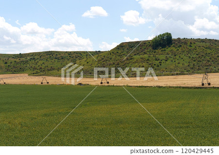 Water irrigation equipment ready for use, standing in the field Water irrigation equipment ready for use, standing in the field 120429445
