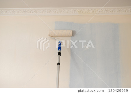 Person applying paint on wall Person applying paint on wall 120429959