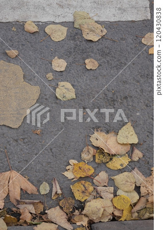 outdated road markings and broken asphalt. pedestrian crossing top view. autumn leaves 120430838