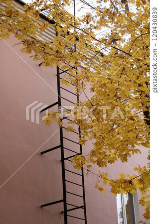vertical antique fire escape made of black metal, attached to wall of old brick pink house. 120430839