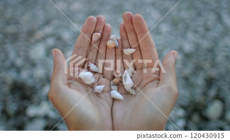 Woman cupping her hands full of small seashells with tiny hermit crabs living inside them, on a blurred beach background 120430915