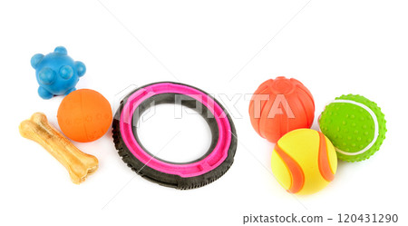 Set of toys for dogs isolated on a white background. Free space for text. Collage. 120431290