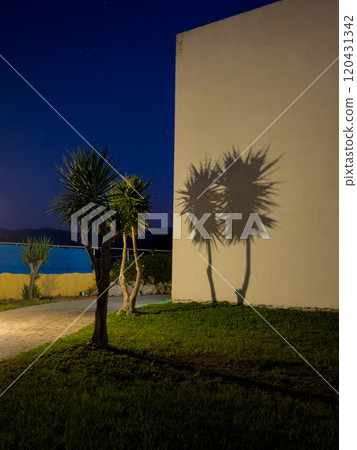 Shadows of Palm Trees in a Tranquil Evening by the Water at Dusk Shadows of Palm Trees in a Tranquil Evening by the Water at Dusk 120431342