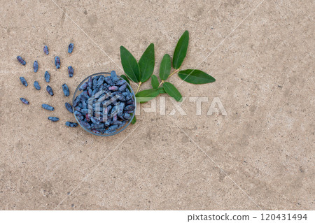 honeysuckle 120431494