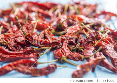 Dried red chili peppers on blue table. Dried red chili peppers on blue table. 120431909