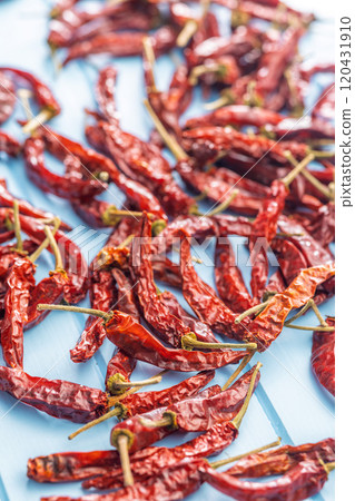 Dried red chili peppers on blue table. Dried red chili peppers on blue table. 120431910