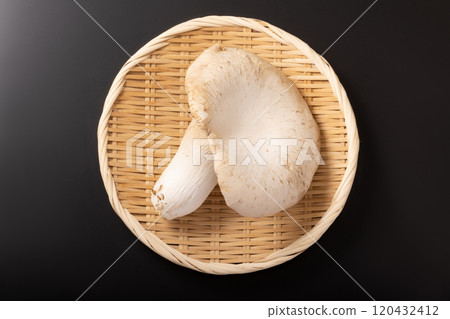 [Miyagi Prefecture] Abalone mushroom 120432412