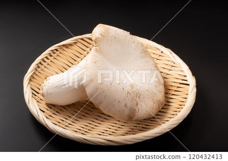 [Miyagi Prefecture] Abalone mushroom 120432413