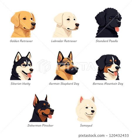 Portrait-style illustrations of 8 popular large dog breeds Portrait-style illustrations of 8 popular large dog breeds 120432433