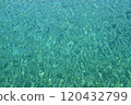 Water surface 120432799
