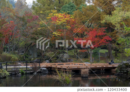 Beautiful autumn foliage spots in Oita 120433400