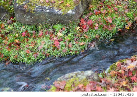 Beautiful autumn foliage spots in Oita Beautiful autumn foliage spots in Oita 120433426