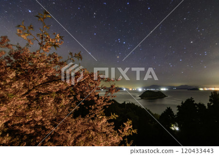 春天的瀨戶內海心島，河津櫻花和星空，天蠍座 120433443