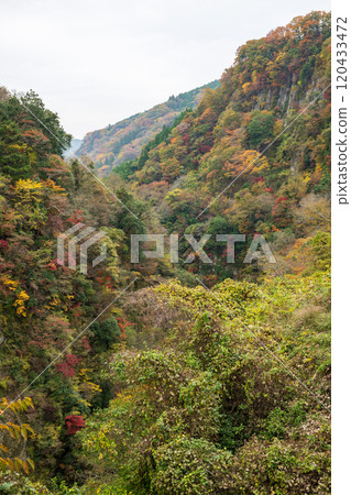 Beautiful autumn foliage spots in Oita 120433472