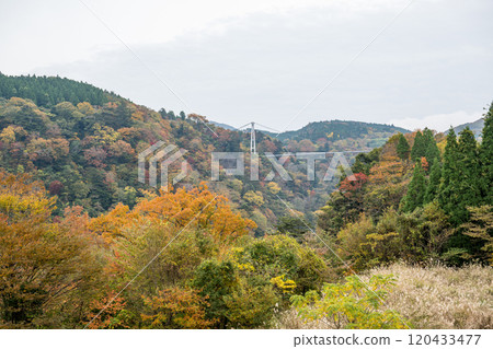 Beautiful autumn foliage spots in Oita Beautiful autumn foliage spots in Oita 120433477