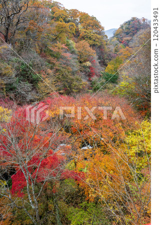 紅葉美麗的大分紅葉勝地 120433491