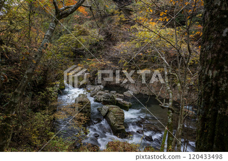 Beautiful autumn foliage spots in Oita 120433498