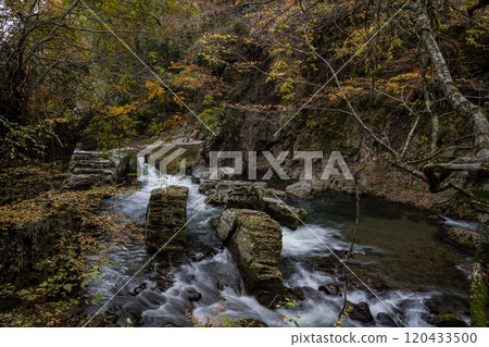 Beautiful autumn foliage spots in Oita Beautiful autumn foliage spots in Oita 120433500