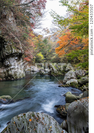 紅葉美麗的大分紅葉勝地 120433507