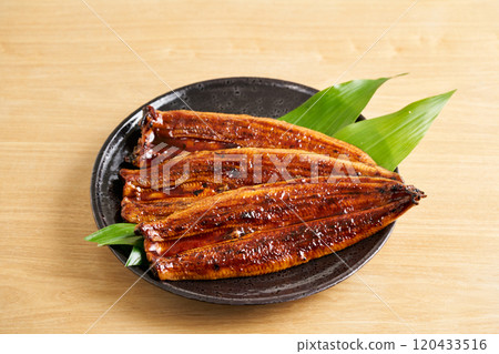 來自中國的烤鰻魚，Rostrata 物種 120433516