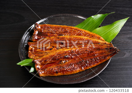 來自中國的烤鰻魚，Rostrata 物種 120433518