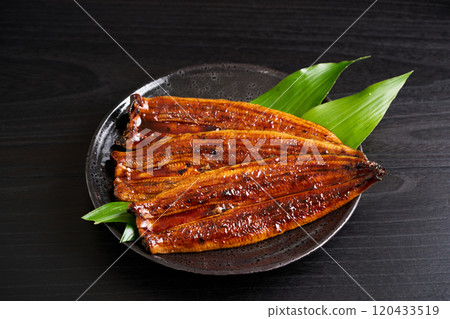 來自中國的烤鰻魚，Rostrata 物種 120433519