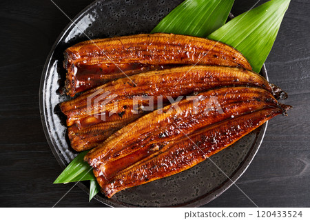 來自中國的烤鰻魚，Rostrata 物種 120433524