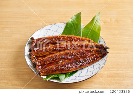 來自中國的烤鰻魚,Rostrata 物種 來自中國的烤鰻魚,Rostrata 物種 120433526