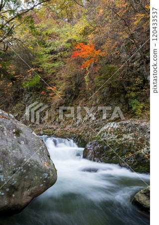 Beautiful autumn foliage spots in Oita 120433537