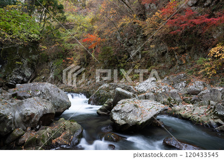 Beautiful autumn foliage spots in Oita Beautiful autumn foliage spots in Oita 120433545