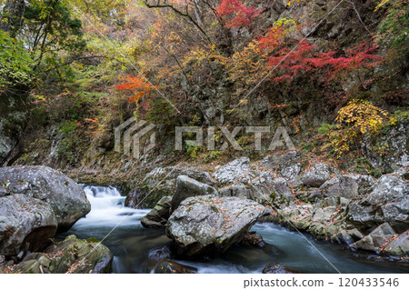 Beautiful autumn foliage spots in Oita Beautiful autumn foliage spots in Oita 120433546