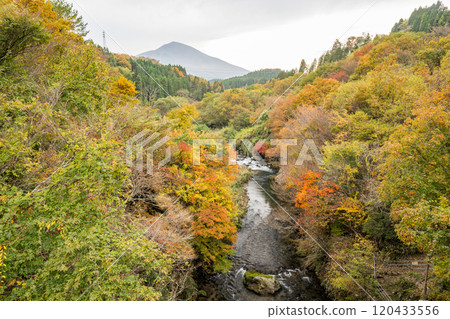 Beautiful autumn foliage spots in Oita Beautiful autumn foliage spots in Oita 120433556