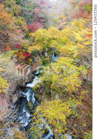 Beautiful autumn foliage spots in Oita Beautiful autumn foliage spots in Oita 120433560