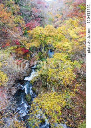Beautiful autumn foliage spots in Oita 120433561
