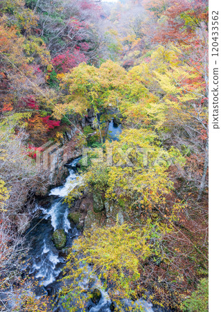 Beautiful autumn foliage spots in Oita 120433562