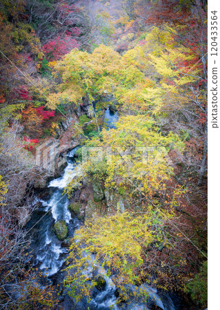 Beautiful autumn foliage spots in Oita Beautiful autumn foliage spots in Oita 120433564