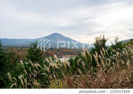 Beautiful autumn foliage spots in Oita Beautiful autumn foliage spots in Oita 120433569