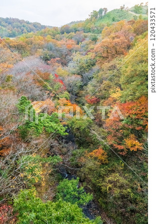 Beautiful autumn foliage spots in Oita 120433571