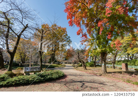 群馬縣高崎市高崎城跡公園 120433750